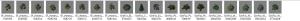 SimFox - Tree Props Compilation_index2